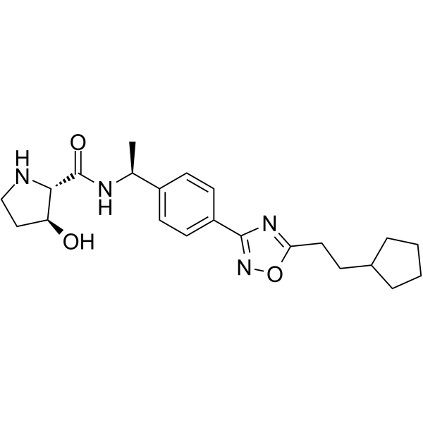 SK1-IN-1ͼƬ