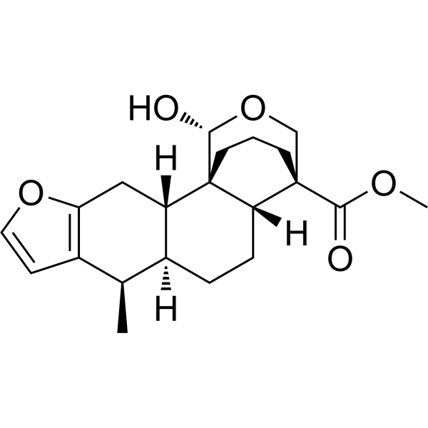 Phanginin AͼƬ