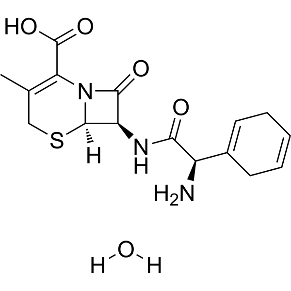 Cephradine monohydrateͼƬ