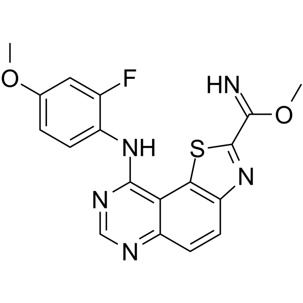 EHT 1610ͼƬ