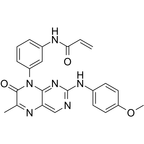 EGFR-IN-40ͼƬ