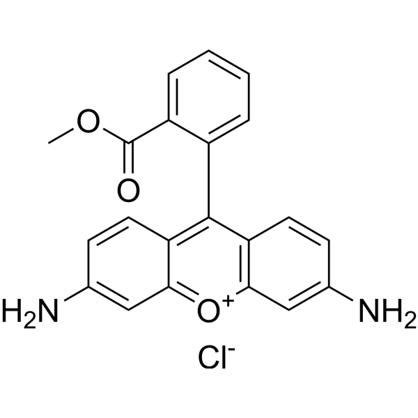 Rhodamine 123ͼƬ