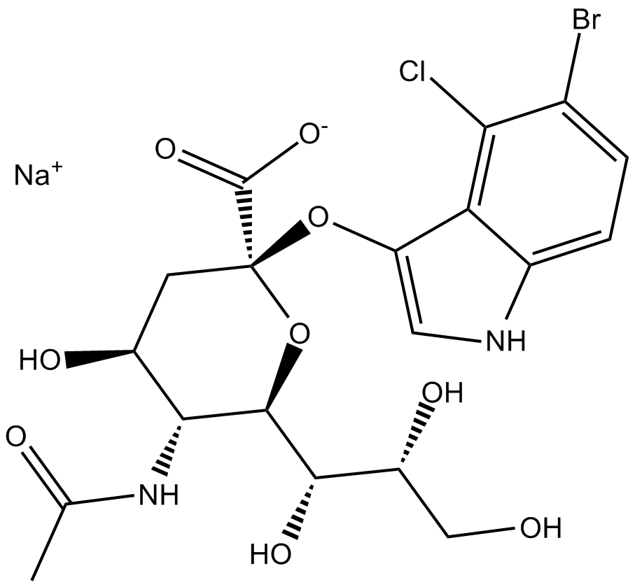 X-NeuNAcͼƬ