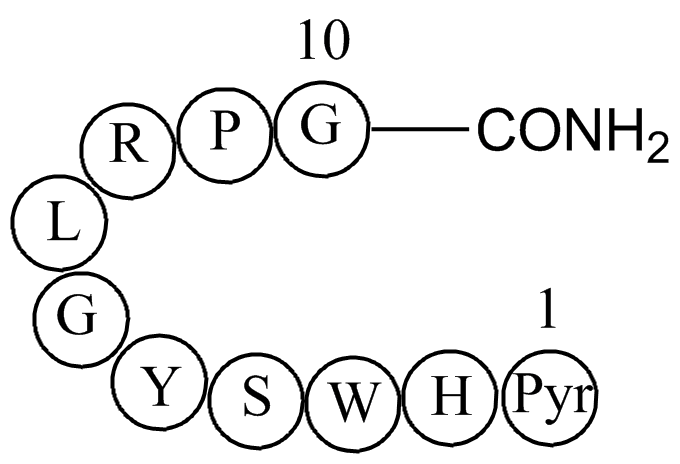 LUTEINIZING HORMONE RELEASING HORMONE HUMANͼƬ