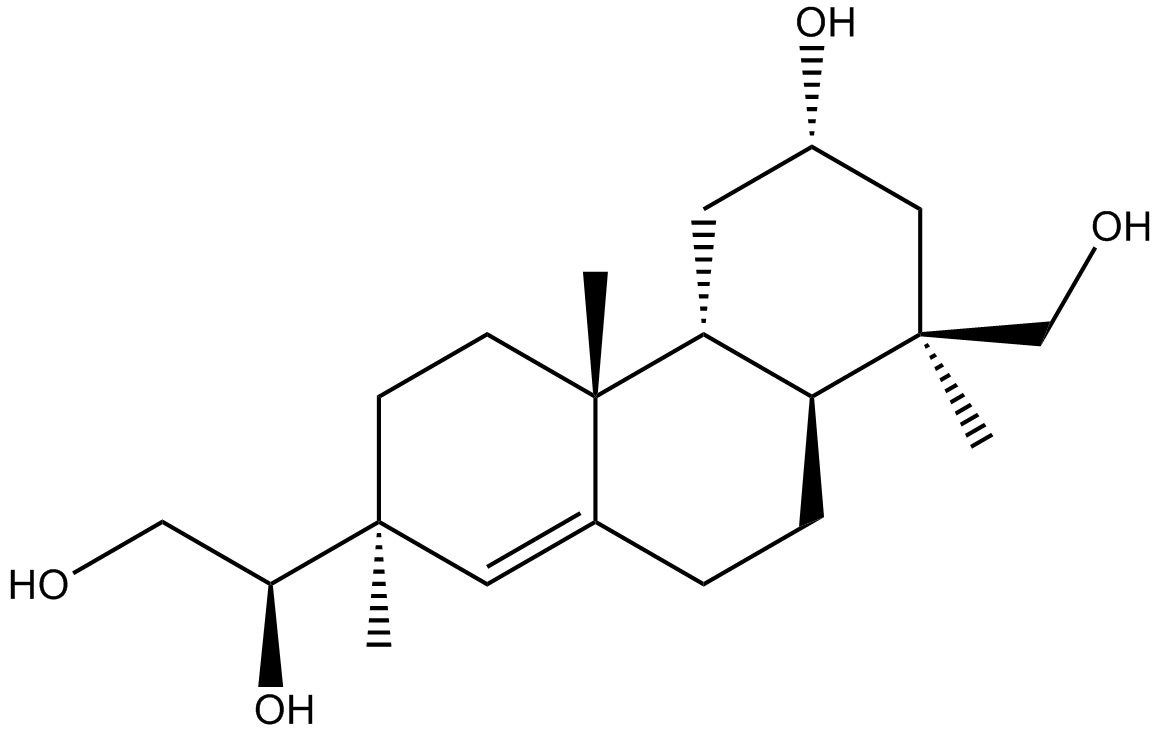 KirenolͼƬ