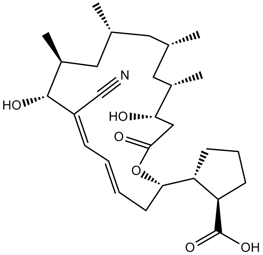 BorrelidinͼƬ