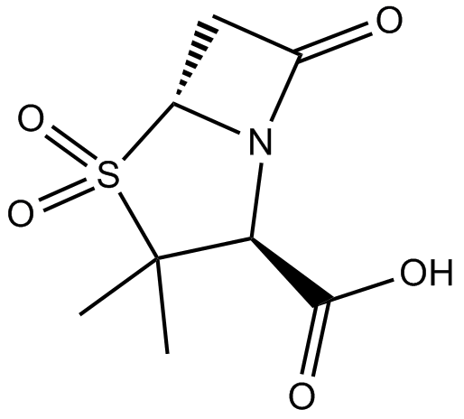 SulbactamͼƬ