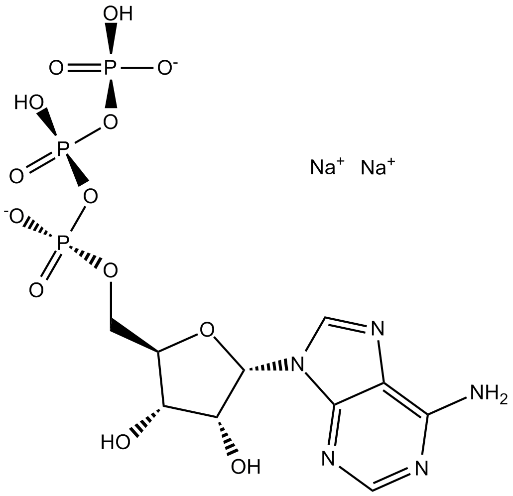 ATP disodium saltͼƬ