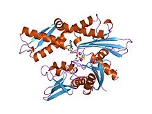 Heat Shock Protein 70,human recombinant proteinͼƬ