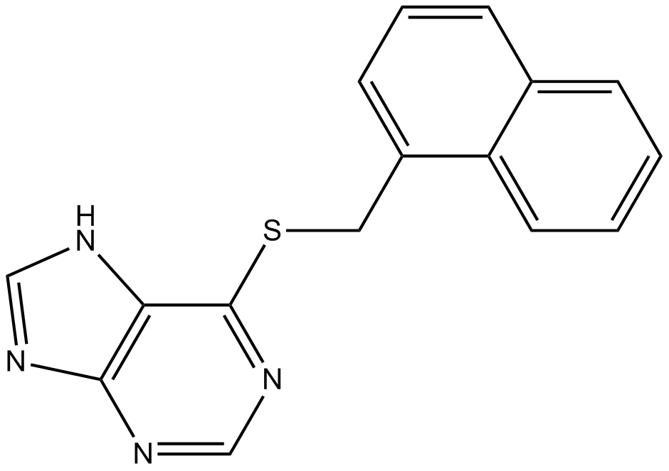 PU 02ͼƬ