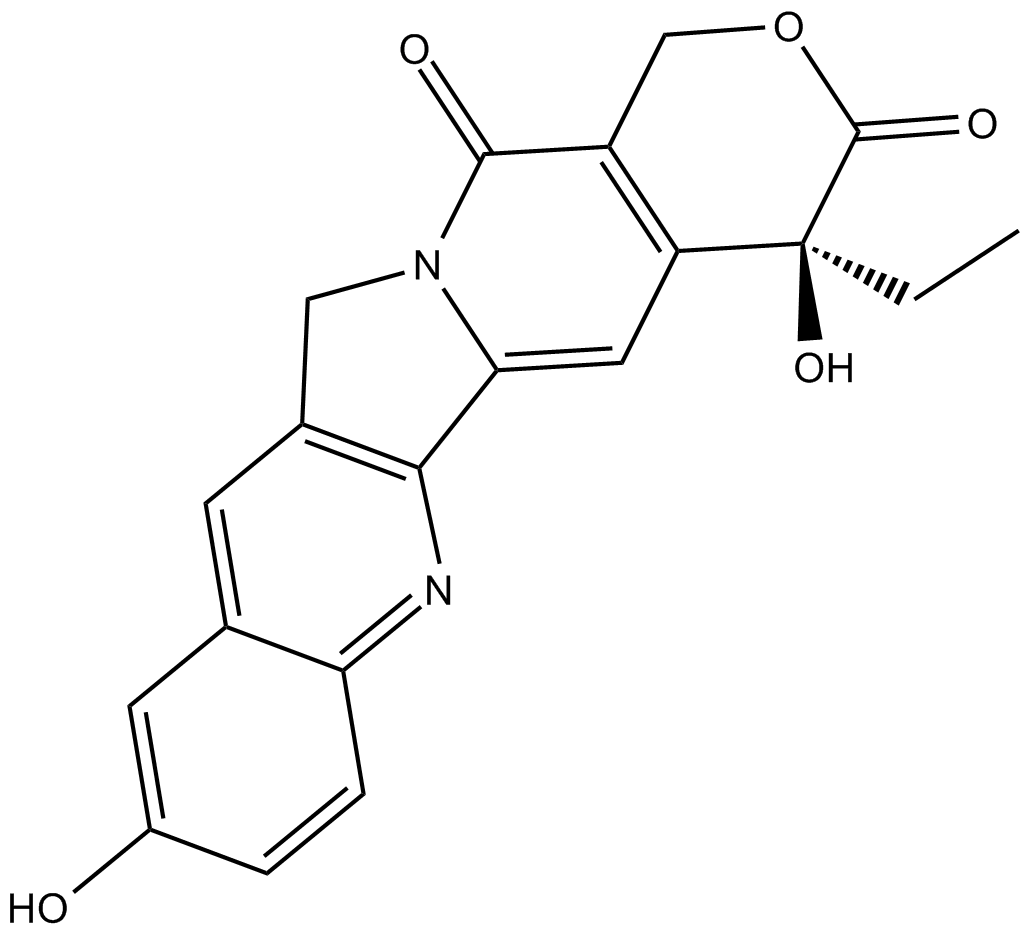 (S)-10-HydroxycamptothecinͼƬ