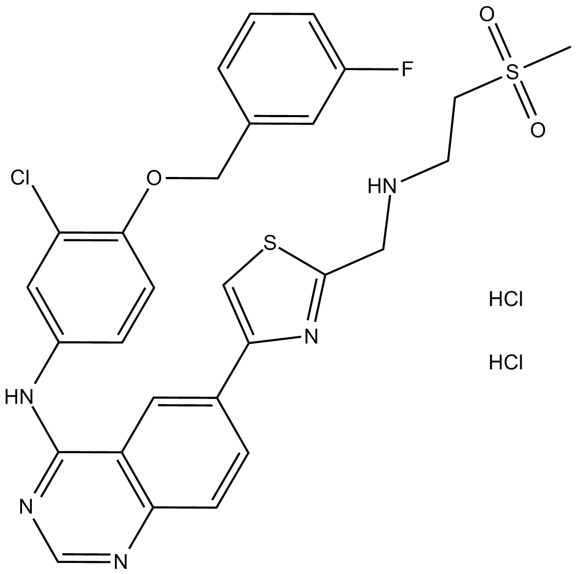 GW 583340 dihydrochlorideͼƬ