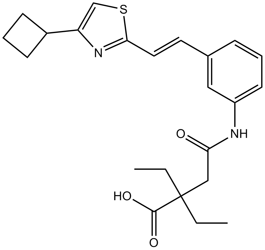 CinalukastͼƬ