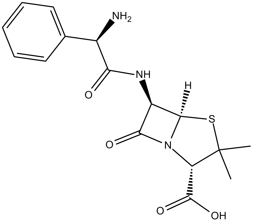 AmpicillinͼƬ