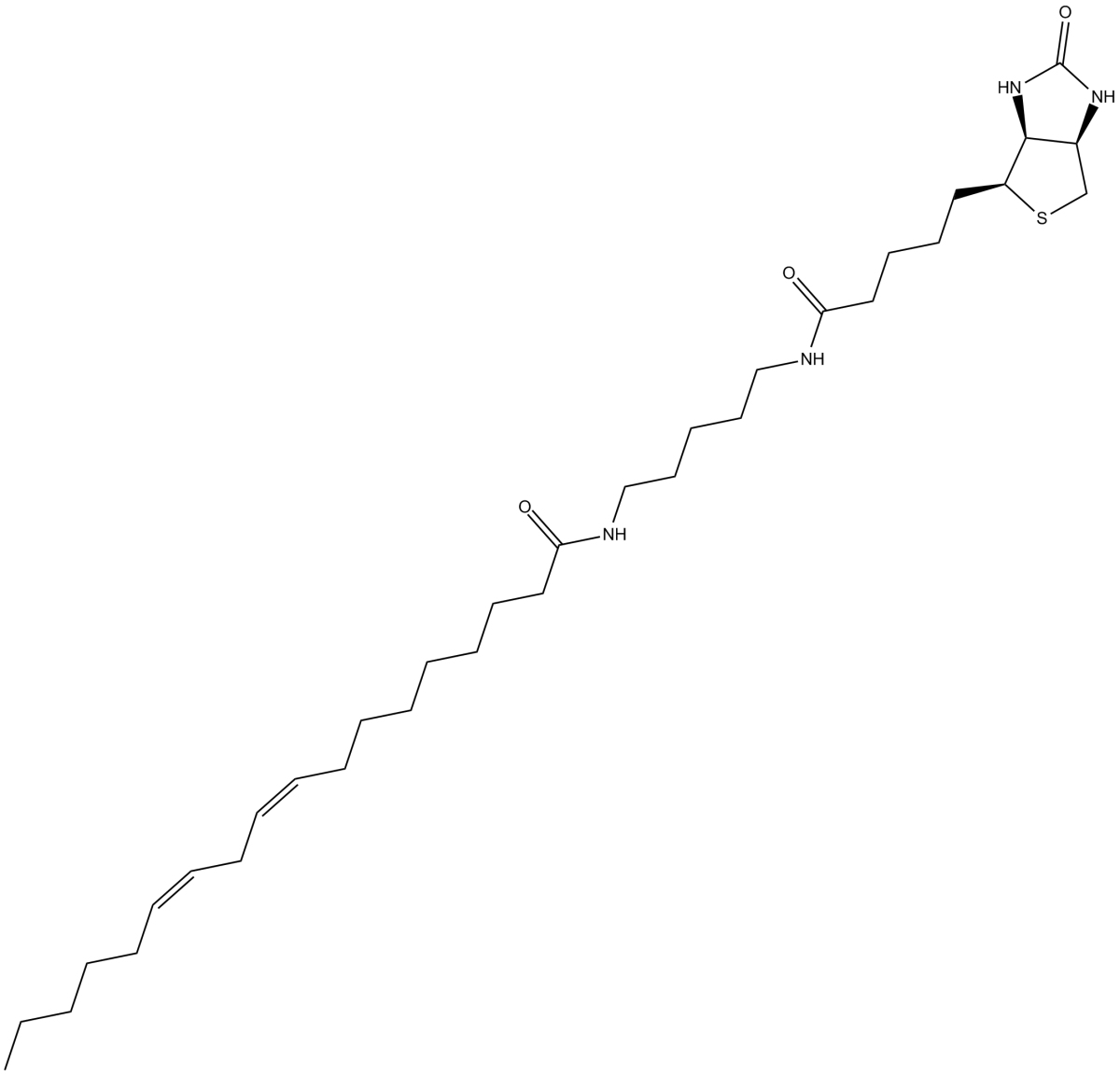 Linoleic Acid-biotinͼƬ