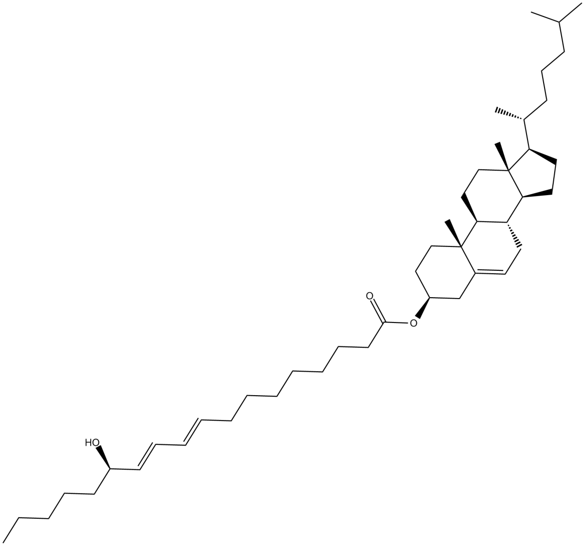 13(R)-HODE cholesteryl esterͼƬ