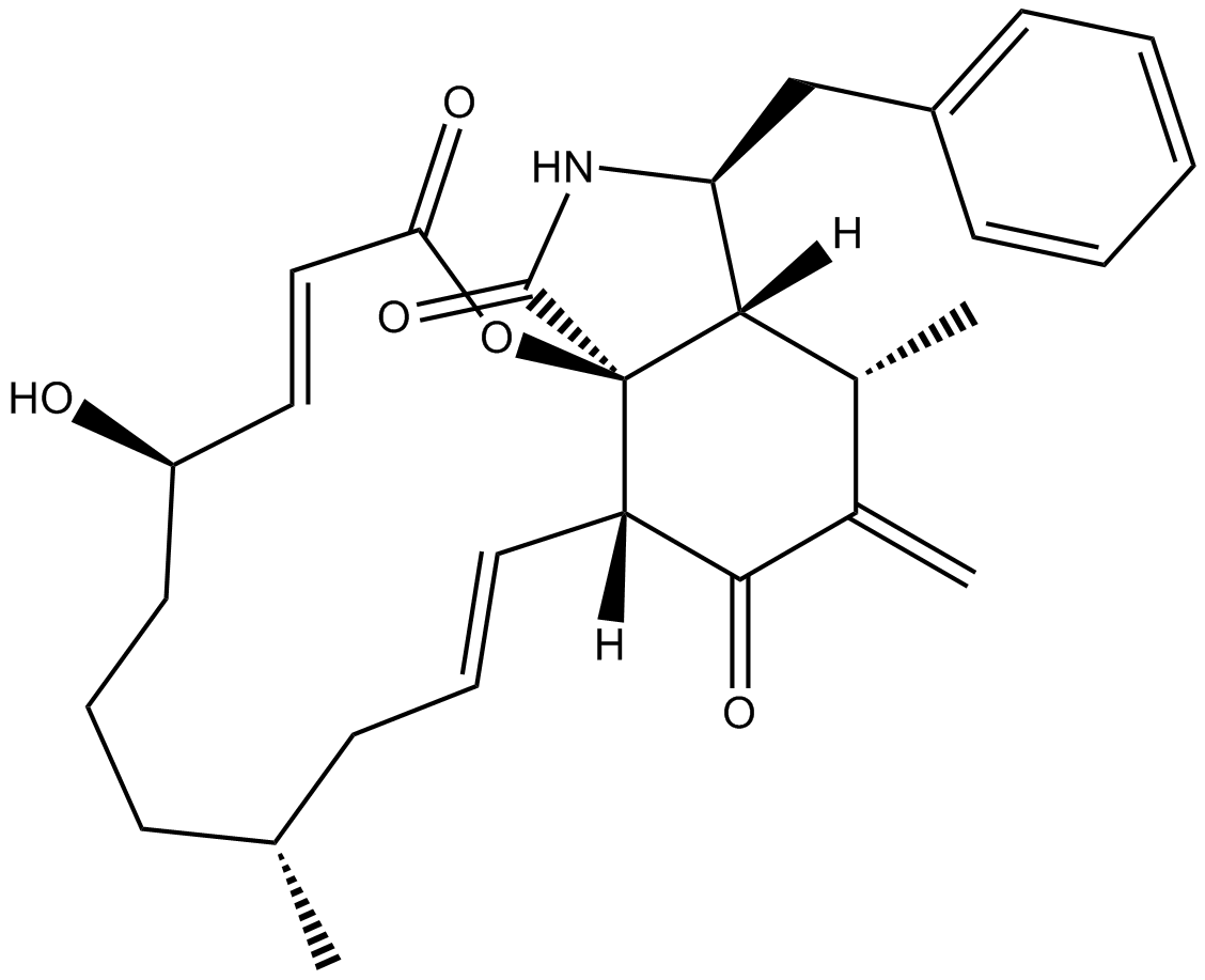 Cytochalasin AͼƬ