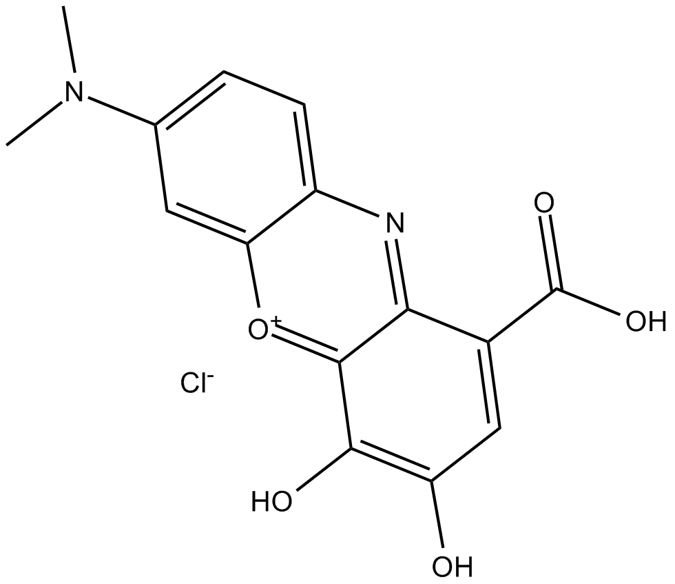 GallocyanineͼƬ