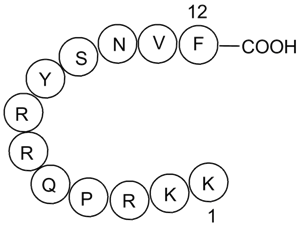 DAPK Substrate PeptideͼƬ