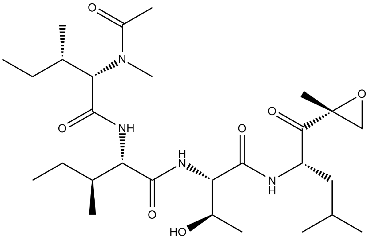 EpoxomicinͼƬ