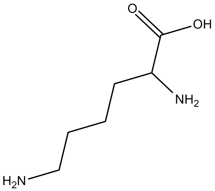 DL-lysineͼƬ