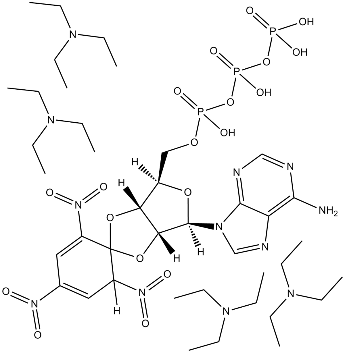 TNP-ATP triethylammonium saltͼƬ