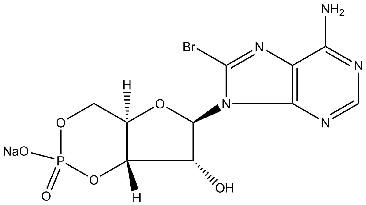 8-Bromo-cAMP,sodium saltͼƬ