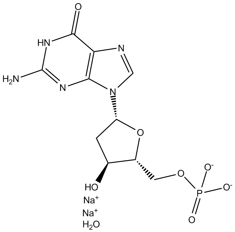 2'-Deoxyguanosine 5'-monophosphate(sodium salt hydrate)ͼƬ