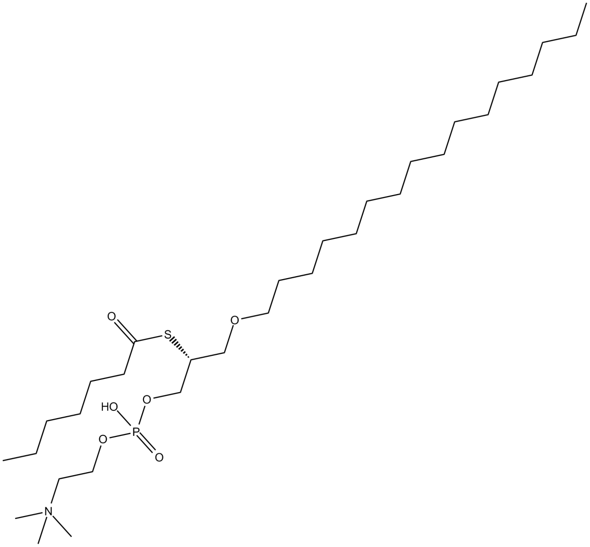 Heptanoyl thio-PCͼƬ