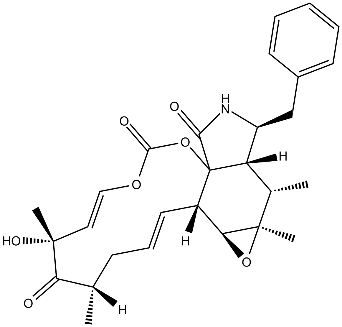 Cytochalasin EͼƬ