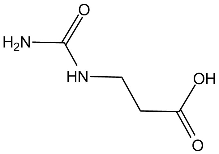 beta-Alanine metabolismͼƬ