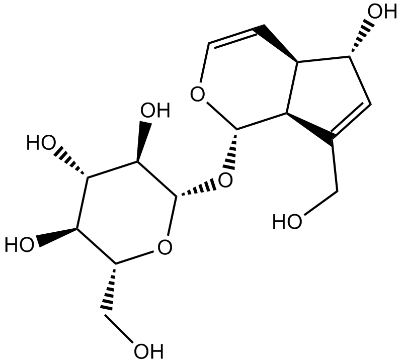 AucubinͼƬ