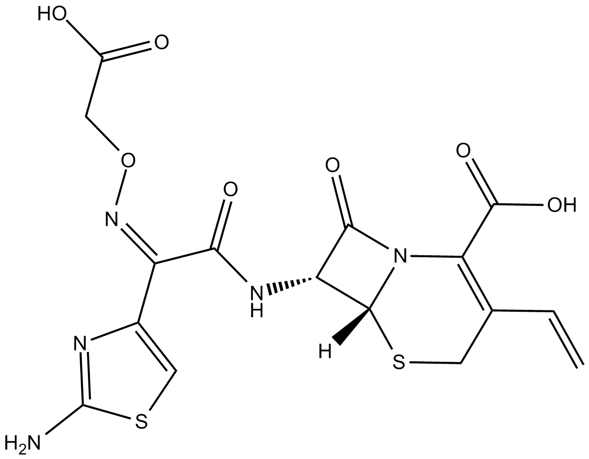 CefiximeͼƬ