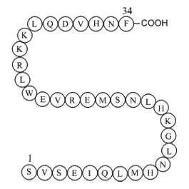 Parathyroid hormone(1-34)(human)ͼƬ