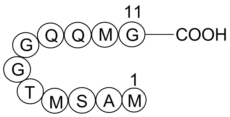 T7 Tag PeptideͼƬ