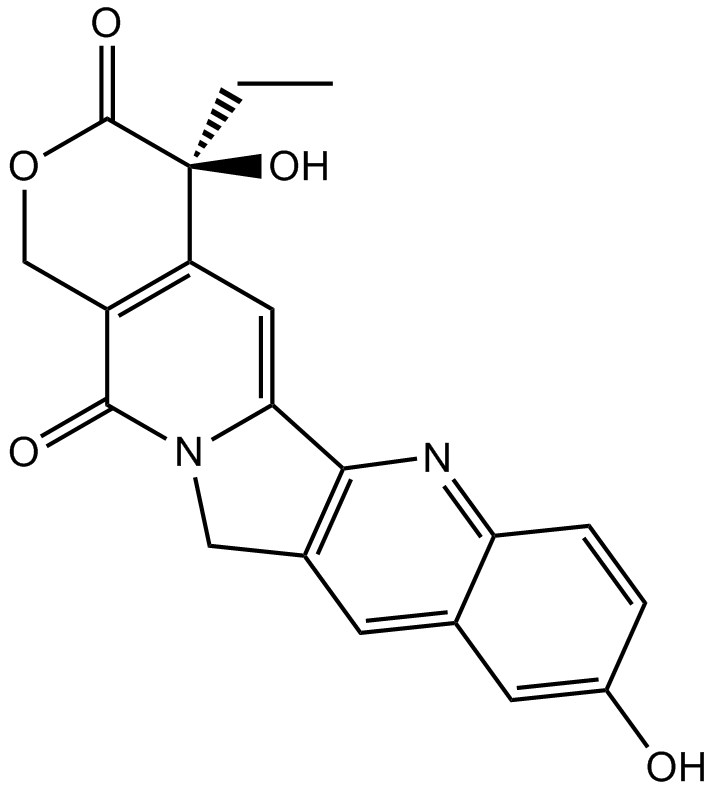 10-HydroxycamptothecinͼƬ