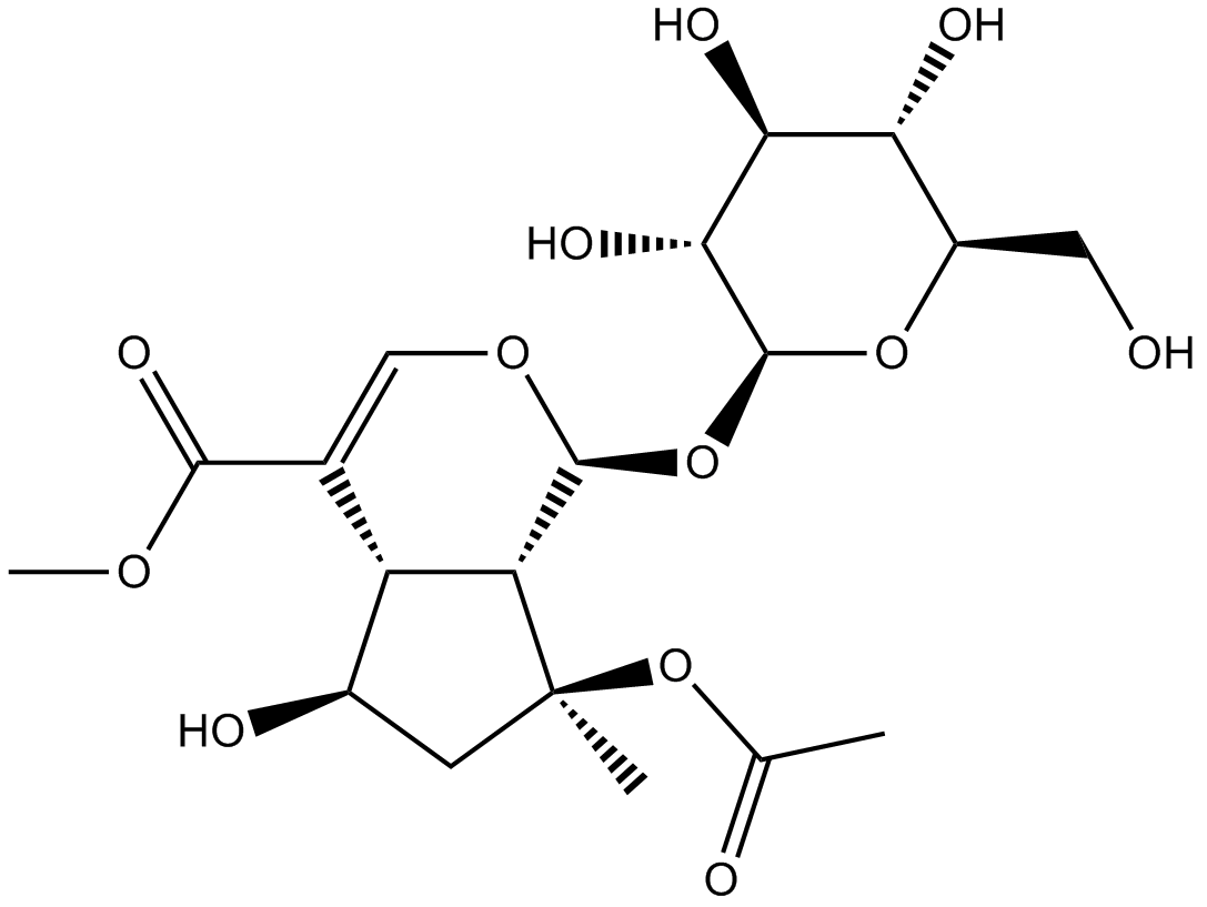 8-O-Acetyl shanzhiside methyl esterͼƬ