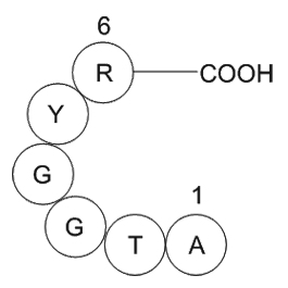 prostate apoptosis response protein PAR-4(2-7)[Homo sapiens]ͼƬ