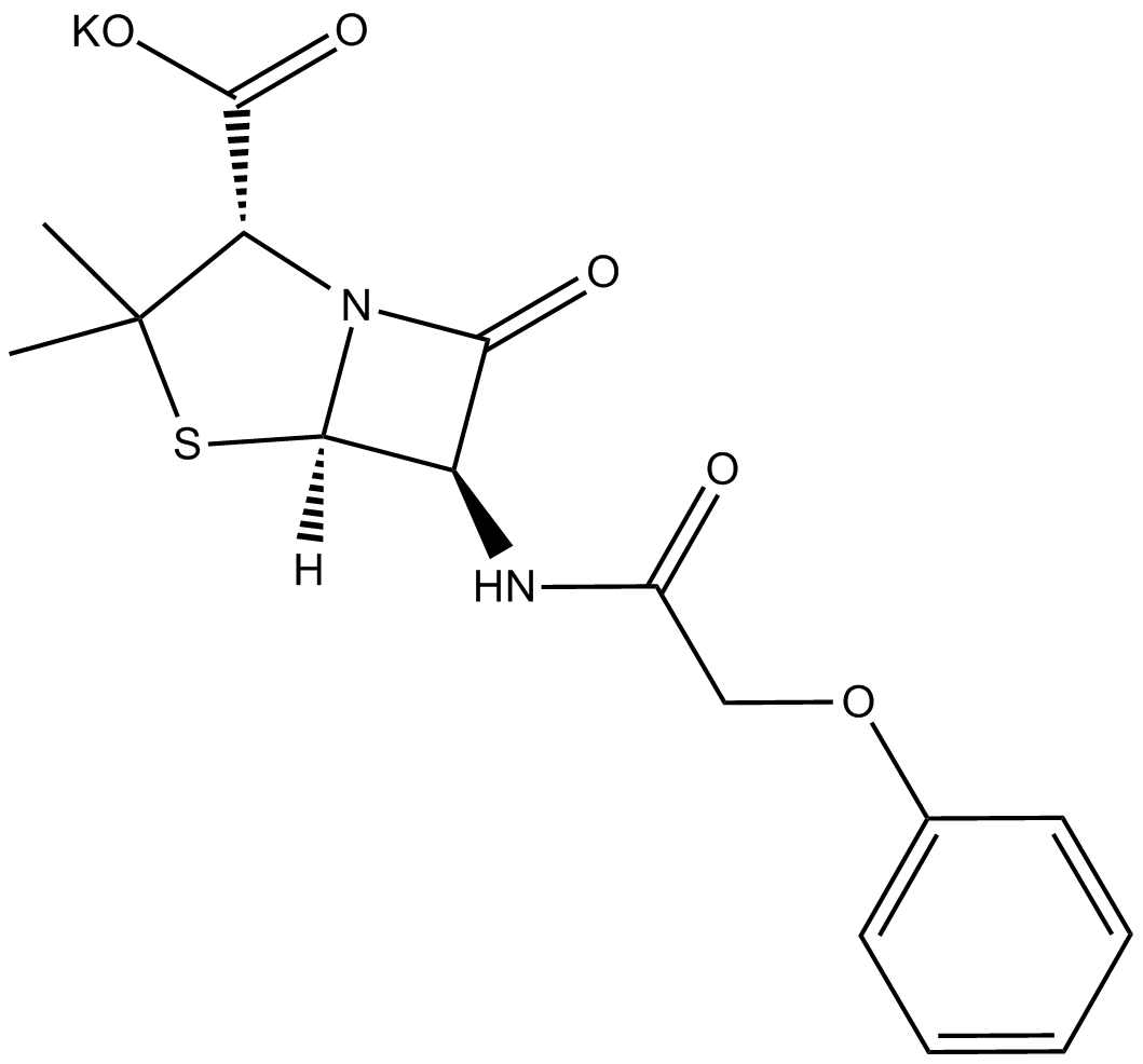 Penicillin V potassium saltͼƬ