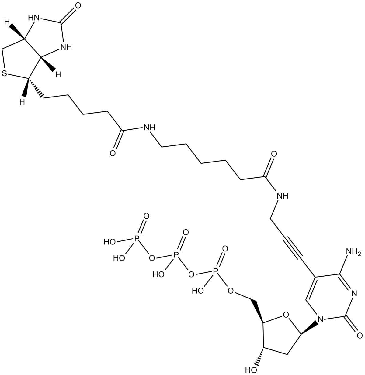 Biotin-11-dCTPͼƬ