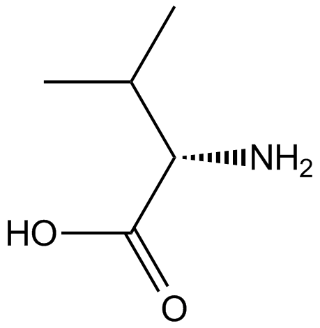 L-ValineͼƬ