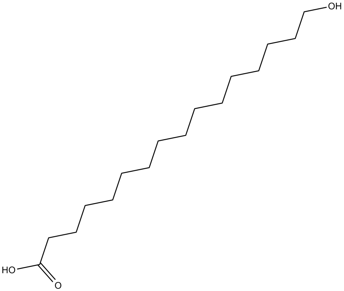 16-hydroxy Hexadecanoic AcidͼƬ