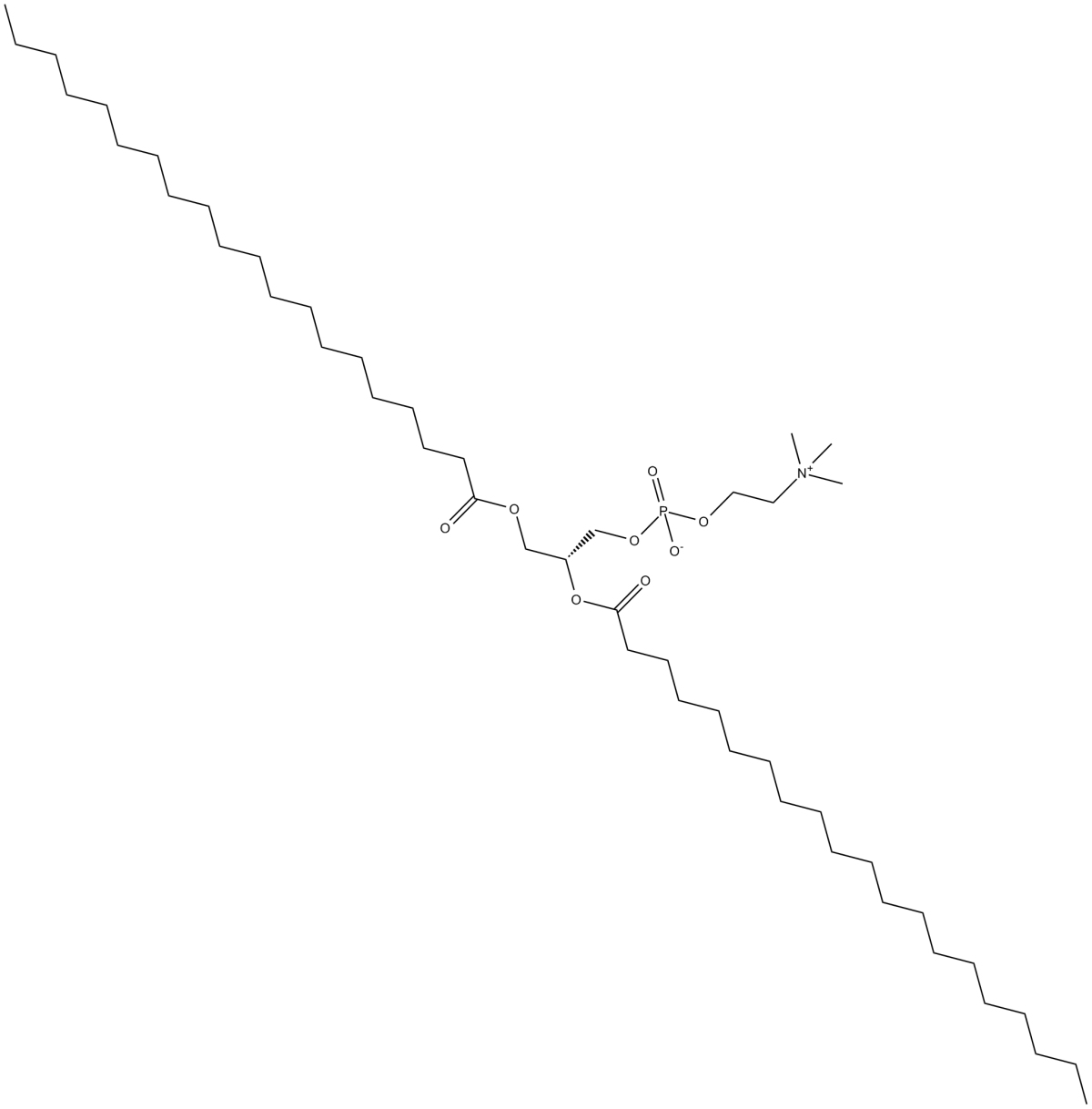 1,2-Diarachidoyl-sn-glycero-3-PCͼƬ