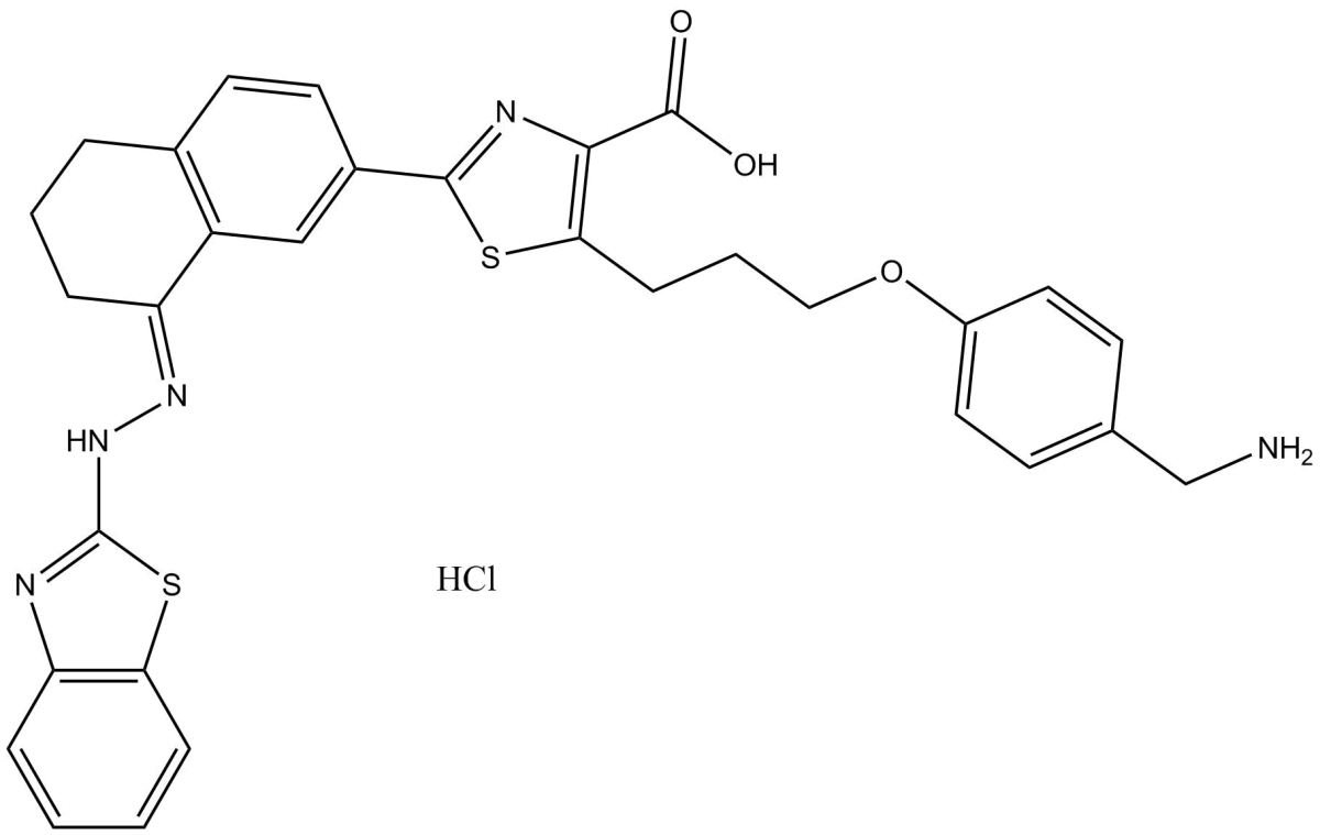 WEHI-539 hydrochlorideͼƬ