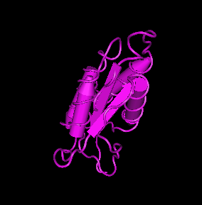 GM-CSF,murine recombinantͼƬ