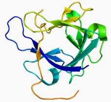 FGF-19,human recombinant proteinͼƬ