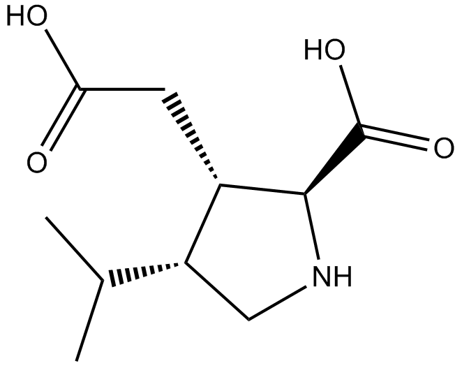 Dihydrokainic acidͼƬ