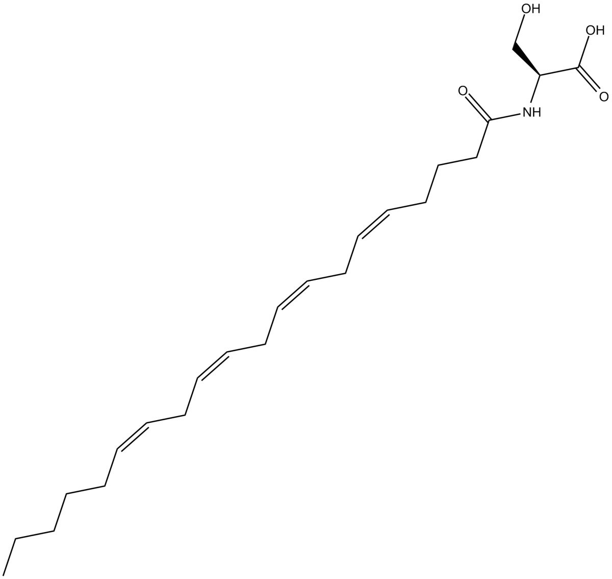 N-Arachidonoyl-L-SerineͼƬ