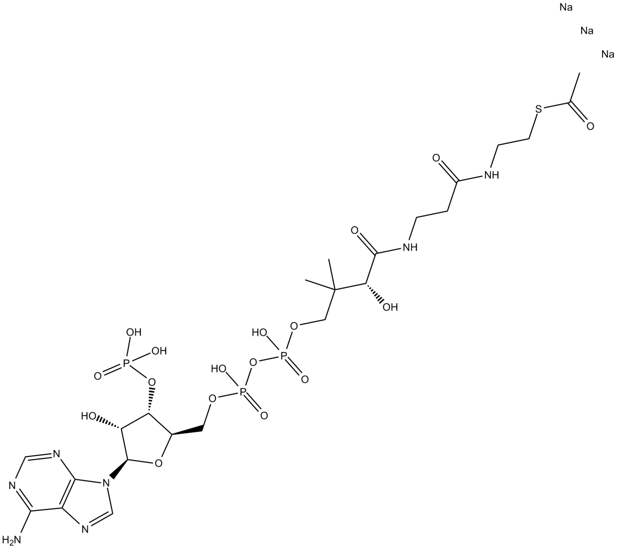 Acetyl Coenzyme A(sodium salt)ͼƬ