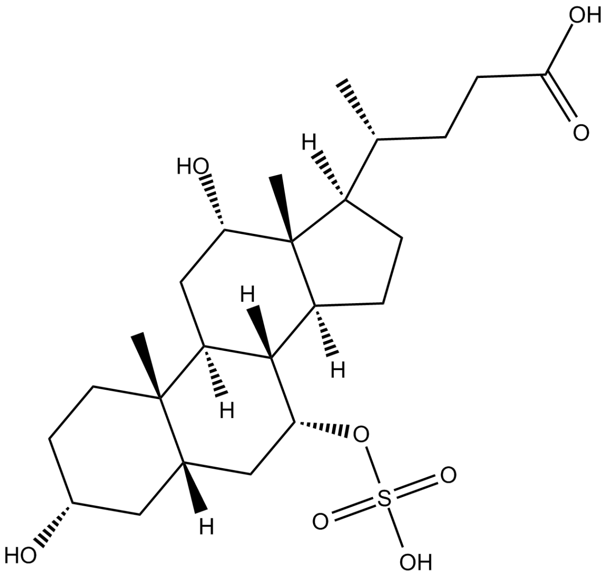 Cholic Acid 7-sulfateͼƬ